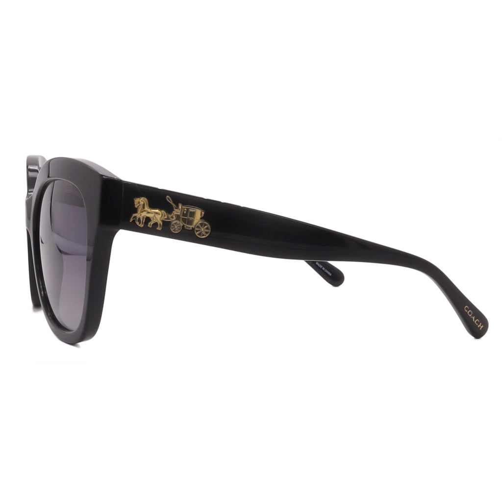 Coach Sunglasses HC8264-5002T3-56-17-140 Polarized - MC Online