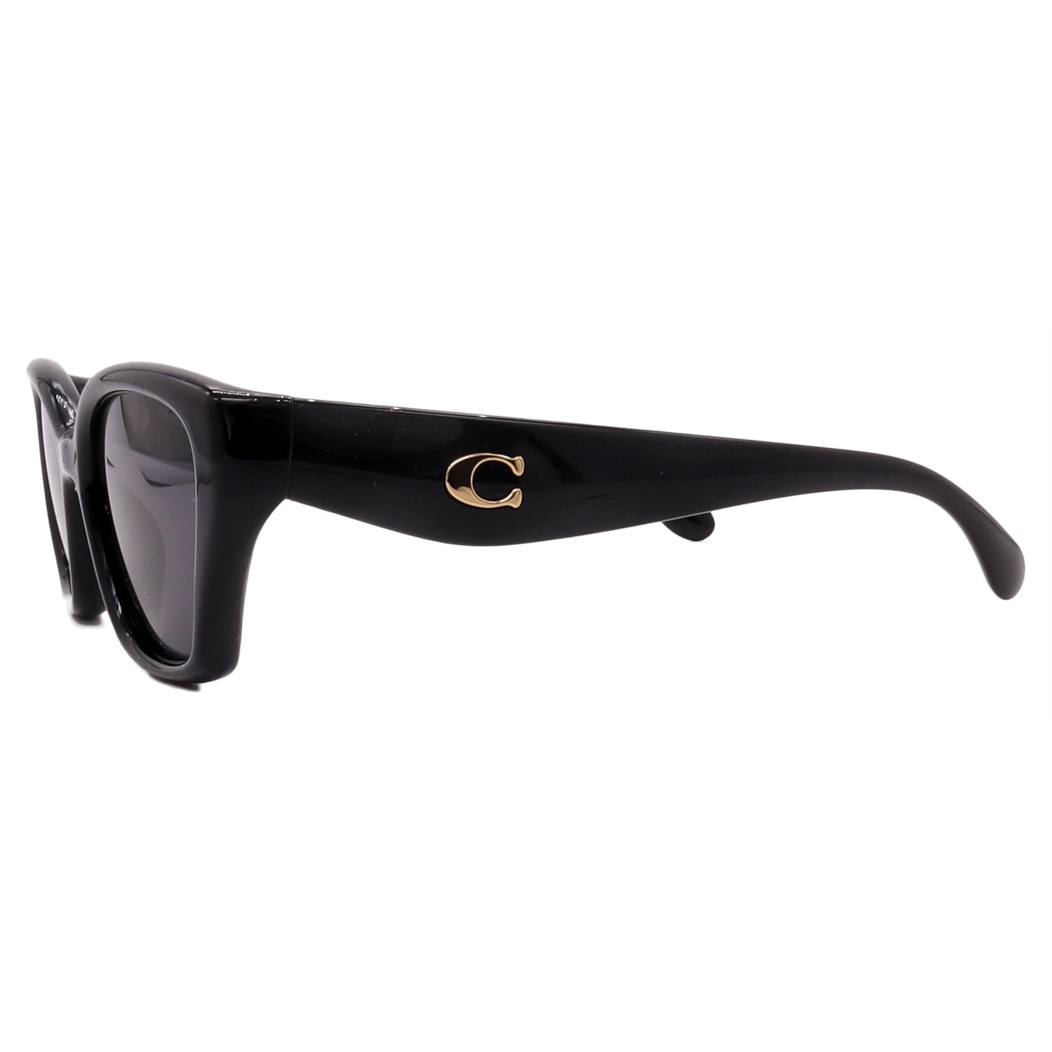 Coach Sunglasses HC8434U-500287-53-19-140 Non-Polarized - MC Online