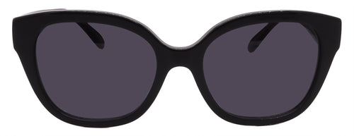Coach Sunglasses HC8438U-500287-56-19-145 Non-Polarized - MC Online